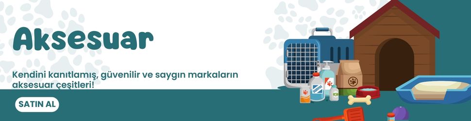 Ataşehir pet shop Aksesuar
