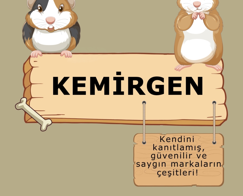 Ataşehir Petshop Kemirgen