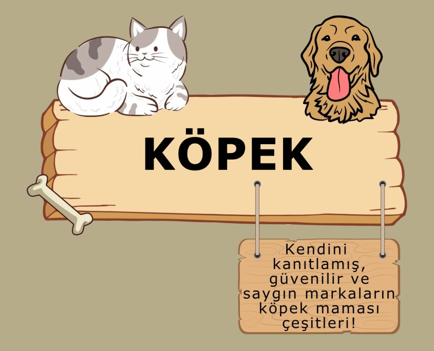 Ataşehir Petshop Köpek
