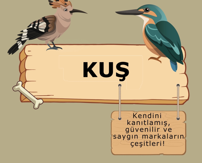 Ataşehir Petshop Kuş
