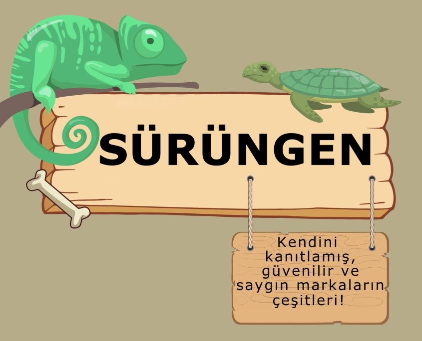 Ataşehir Petshop Sürüngen