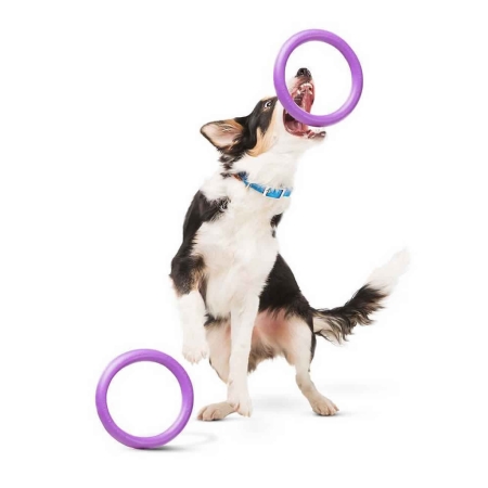 PULLER Midi dog training device diameter 20 cm