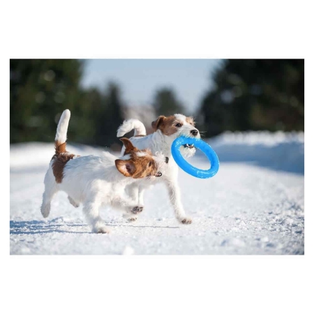 Collar Pitchdog İnteraktif Köpek Oyuncağı 28 Cm Mavi