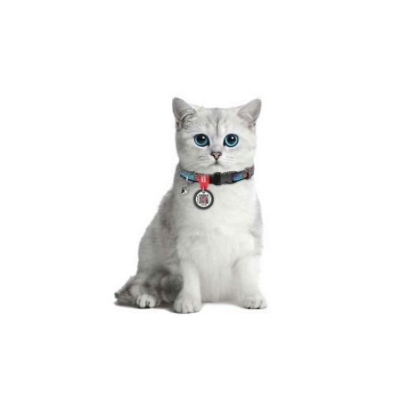 Collar QR Pasaportlu Kedi ve Ufak Irk Köpek Boyun Tasması