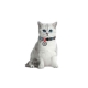 Collar QR Pasaportlu Kedi ve Ufak Irk Köpek Boyun Tasması
