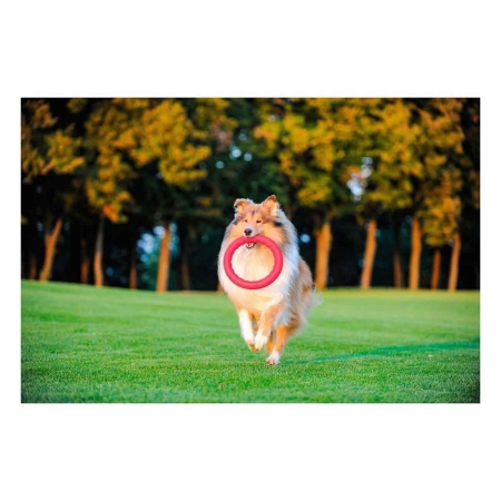 CollarCollar PitchDog Plastik Halka Köpek Oyuncağı Mavi 20 Cm