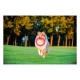 CollarCollar PitchDog Plastik Halka Köpek Oyuncağı Mavi 20 Cm