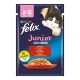 Felix Junior Sığır Etli Kedi Yaş Maması