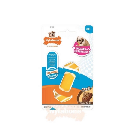 Nylabone Biftek Aromalı Yavru Köpek Çiğneme Kemiği