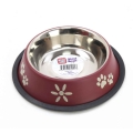 Playfull Renkli Desenli Çelik Mama ve Su Kabı 16 Oz