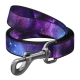 WAUDOG Nylon dog leash with QR-passport 122