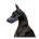 Collar Waudog Summer Model Köpek Ağızlığı 14-20 Cm