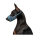 Collar Waudog WOW Model Köpek Ağızlığı 19-26 Cm