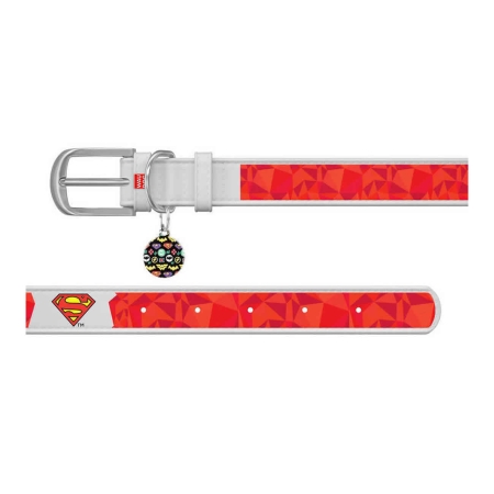 WAUDOG Design genuine leather dog collar with QR passport, "Superman1" design L 26-35 cm white