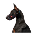 WAUDOG Nylon dog muzzle NASA design plastic fastex, size 1 14-20 cm